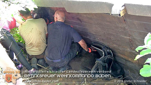20160726 Pferd über steile Böschung in Baden abgestürzt  Foto: © Stefan Schneider