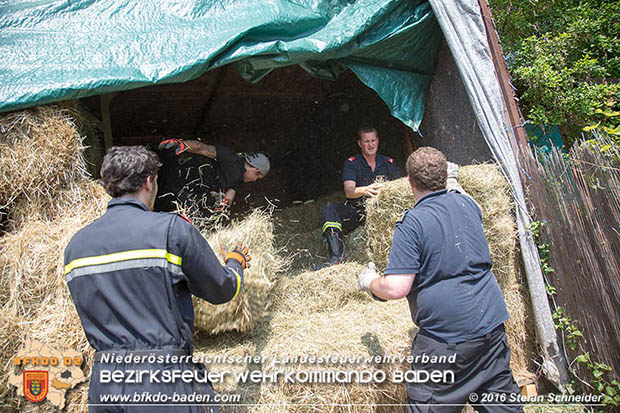 20160726 Pferd über steile Böschung in Baden abgestürzt  Foto: © Stefan Schneider