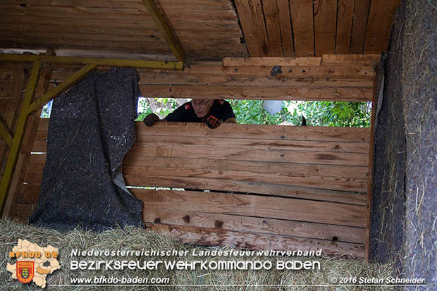 20160726 Pferd über steile Böschung in Baden abgestürzt  Foto: © Stefan Schneider