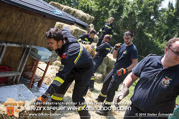 20160726 Pferd über steile Böschung in Baden abgestürzt  Foto: © Stefan Schneider