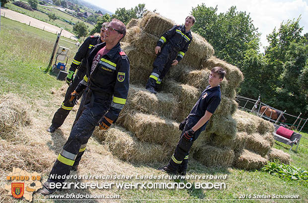 20160726 Pferd über steile Böschung in Baden abgestürzt  Foto: © Stefan Schneider
