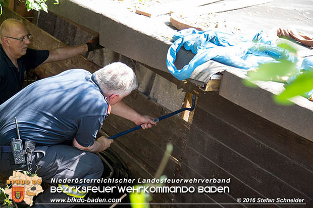 20160726 Pferd über steile Böschung in Baden abgestürzt  Foto: © Stefan Schneider