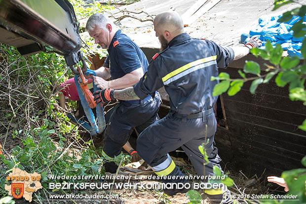 20160726 Pferd über steile Böschung in Baden abgestürzt  Foto: © Stefan Schneider