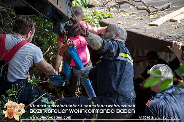 20160726 Pferd über steile Böschung in Baden abgestürzt  Foto: © Stefan Schneider