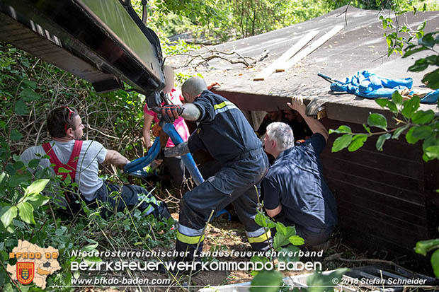 20160726 Pferd über steile Böschung in Baden abgestürzt  Foto: © Stefan Schneider