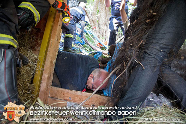 20160726 Pferd über steile Böschung in Baden abgestürzt  Foto: © Stefan Schneider