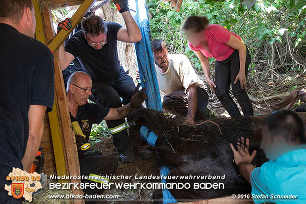 20160726 Pferd über steile Böschung in Baden abgestürzt  Foto: © Stefan Schneider