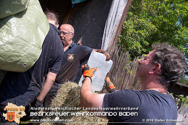 20160726 Pferd über steile Böschung in Baden abgestürzt  Foto: © Stefan Schneider