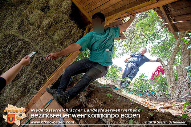 20160726 Pferd über steile Böschung in Baden abgestürzt  Foto: © Stefan Schneider