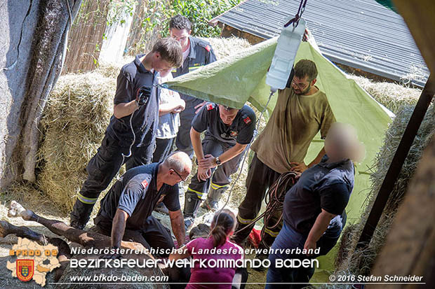 20160726 Pferd über steile Böschung in Baden abgestürzt  Foto: © Stefan Schneider