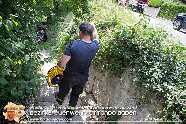 20160726 Pferd über steile Böschung in Baden abgestürzt  Foto: © Stefan Schneider