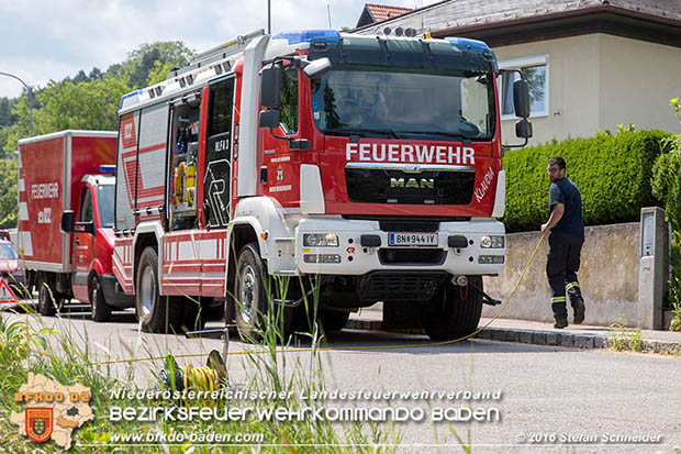 20160726 Pferd über steile Böschung in Baden abgestürzt  Foto: © Stefan Schneider