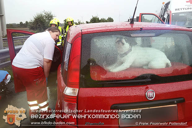 20160809 Verkehrsunfall auf der A3 zwischen Pottendorf und Ebreichsdorf Foto: © FF Pottendorf 20160809 Verkehrsunfall auf der A3 zwischen Pottendorf und Ebreichsdorf Foto: © FF Pottendorf