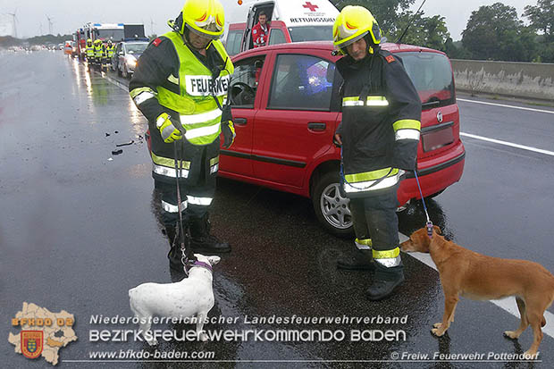 20160809 Verkehrsunfall auf der A3 zwischen Pottendorf und Ebreichsdorf Foto: © FF Pottendorf 20160809 Verkehrsunfall auf der A3 zwischen Pottendorf und Ebreichsdorf Foto: © FF Pottendorf
