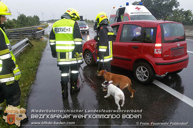 20160809 Verkehrsunfall auf der A3 zwischen Pottendorf und Ebreichsdorf Foto: © FF Pottendorf 20160809 Verkehrsunfall auf der A3 zwischen Pottendorf und Ebreichsdorf Foto: © FF Pottendorf