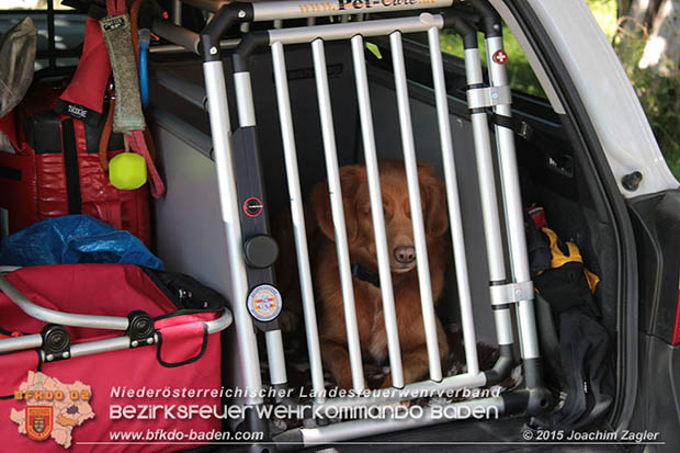 20160823 Personensuche nach 7o-jähriger Dame in Klausen-Leopoldsdorf  Foto: © Joachim ZAGLER