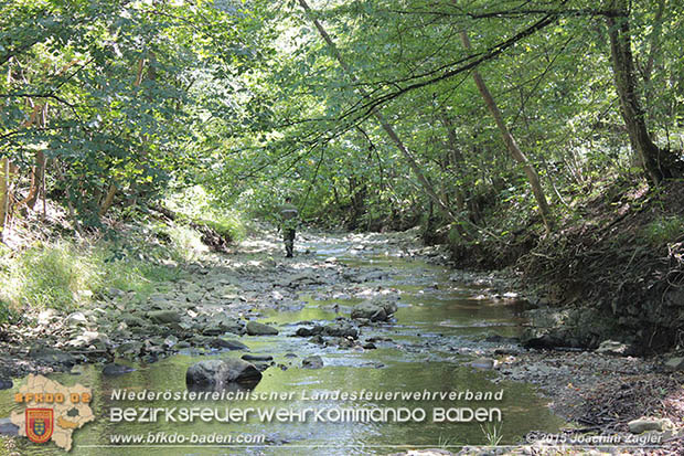 20160823 Personensuche nach 7o-jähriger Dame in Klausen-Leopoldsdorf  Foto: © Joachim ZAGLER