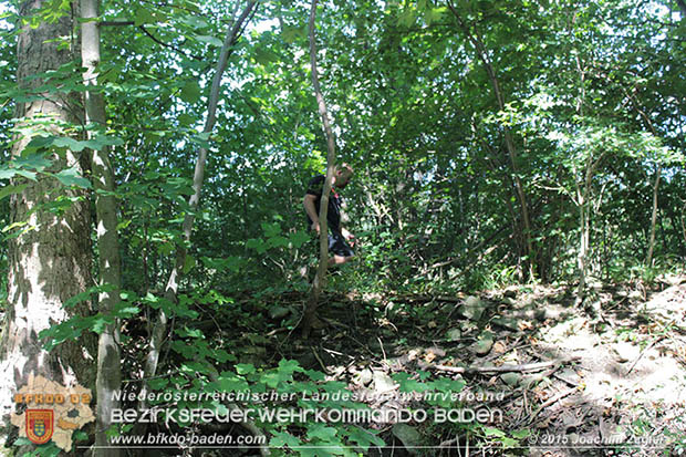 20160823 Personensuche nach 7o-jähriger Dame in Klausen-Leopoldsdorf  Foto: © Joachim ZAGLER