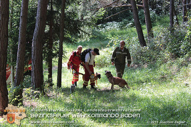 20160823 Personensuche nach 7o-jähriger Dame in Klausen-Leopoldsdorf  Foto: © Joachim ZAGLER