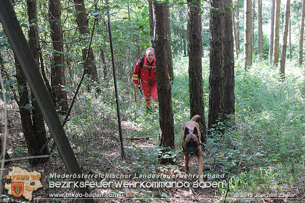 20160823 Personensuche nach 7o-jähriger Dame in Klausen-Leopoldsdorf  Foto: © Joachim ZAGLER