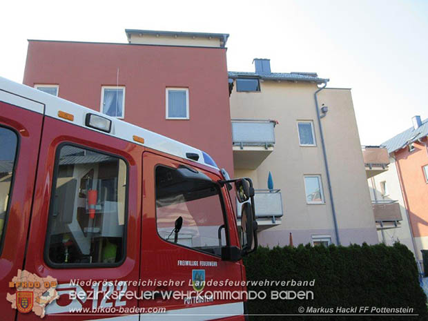 20160909 Feuerwehr rettet Stubentieger "Bärli" Foto: © FF Pottenstein