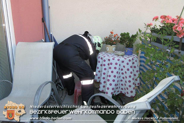 20160909 Feuerwehr rettet Stubentieger "Baerli" Foto: © FF Pottenstein
