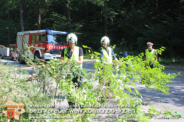 20160912 Schwerer Verkehrsunfall auf der L138 bei Pottenstein-Grabenweg  Foto: © Markus HACKL