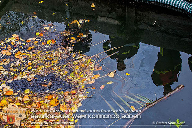 20161102 Ölfilm auf dem Gewässer des Wr.Neustädter Kanals in Kottingbrunn Foto: © Stefan Schneider 20161102 Ölfilm auf dem Gewässer des Wr.Neustädter Kanals in Kottingbrunn Foto: © Stefan Schneider