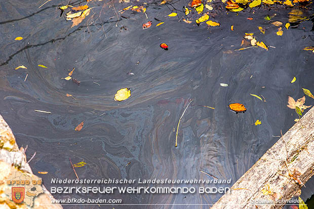 20161102 Ölfilm auf dem Gewässer des Wr.Neustädter Kanals in Kottingbrunn  Foto: © Stefan Schneider