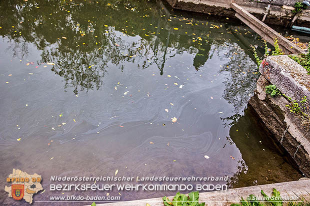 20161102 Ölfilm auf dem Gewässer des Wr.Neustädter Kanals in Kottingbrunn Foto: © Stefan Schneider 20161102 Ölfilm auf dem Gewässer des Wr.Neustädter Kanals in Kottingbrunn Foto: © Stefan Schneider