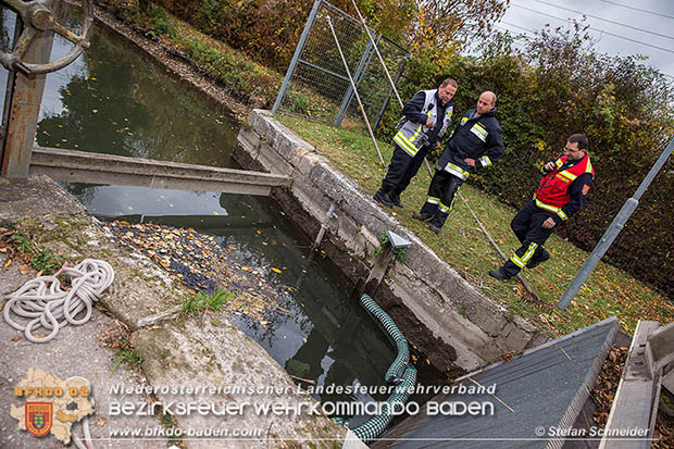 20161102 Ölfilm auf dem Gewässer des Wr.Neustädter Kanals in Kottingbrunn Foto: © Stefan Schneider 20161102 Ölfilm auf dem Gewässer des Wr.Neustädter Kanals in Kottingbrunn Foto: © Stefan Schneider