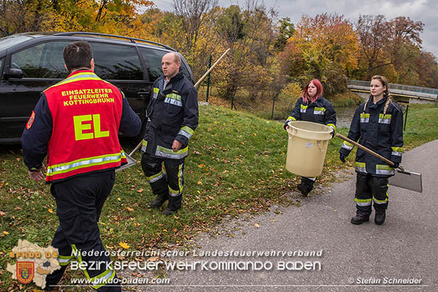 20161102 Ölfilm auf dem Gewässer des Wr.Neustädter Kanals in Kottingbrunn Foto: © Stefan Schneider 20161102 Ölfilm auf dem Gewässer des Wr.Neustädter Kanals in Kottingbrunn Foto: © Stefan Schneider