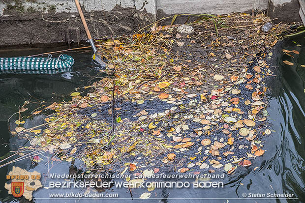 20161102 Ölfilm auf dem Gewässer des Wr.Neustädter Kanals in Kottingbrunn Foto: © Stefan Schneider 20161102 Ölfilm auf dem Gewässer des Wr.Neustädter Kanals in Kottingbrunn Foto: © Stefan Schneider