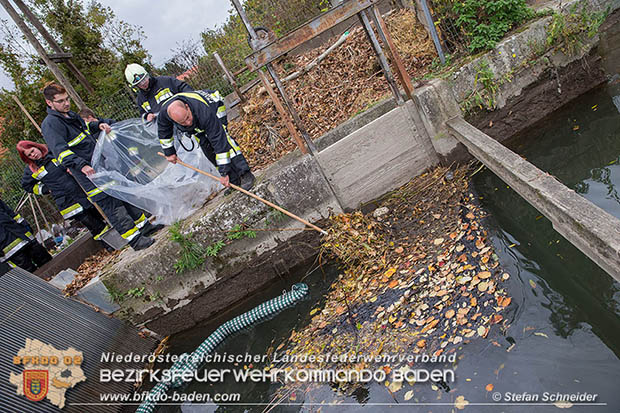 20161102 Ölfilm auf dem Gewässer des Wr.Neustädter Kanals in Kottingbrunn Foto: © Stefan Schneider 20161102 Ölfilm auf dem Gewässer des Wr.Neustädter Kanals in Kottingbrunn Foto: © Stefan Schneider