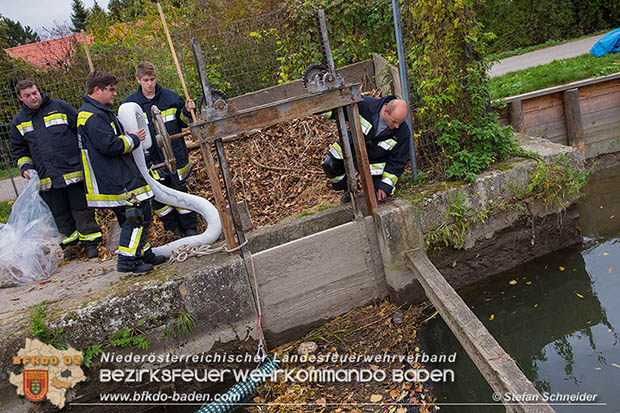 20161102 Ölfilm auf dem Gewässer des Wr.Neustädter Kanals in Kottingbrunn Foto: © Stefan Schneider 20161102 Ölfilm auf dem Gewässer des Wr.Neustädter Kanals in Kottingbrunn Foto: © Stefan Schneider