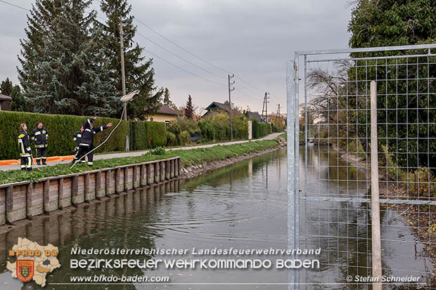 20161102 Ölfilm auf dem Gewässer des Wr.Neustädter Kanals in Kottingbrunn Foto: © Stefan Schneider 20161102 Ölfilm auf dem Gewässer des Wr.Neustädter Kanals in Kottingbrunn Foto: © Stefan Schneider