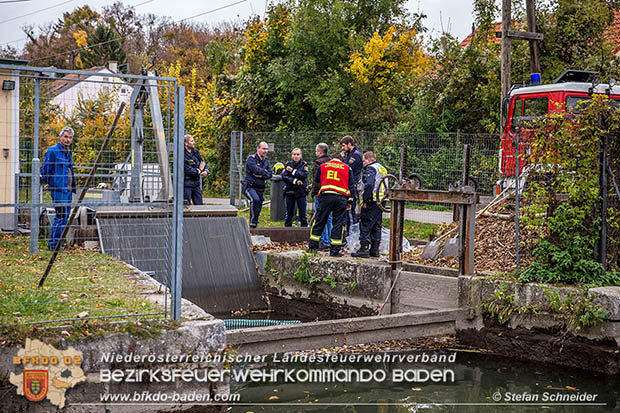 20161102 Ölfilm auf dem Gewässer des Wr.Neustädter Kanals in Kottingbrunn Foto: © Stefan Schneider 20161102 Ölfilm auf dem Gewässer des Wr.Neustädter Kanals in Kottingbrunn Foto: © Stefan Schneider