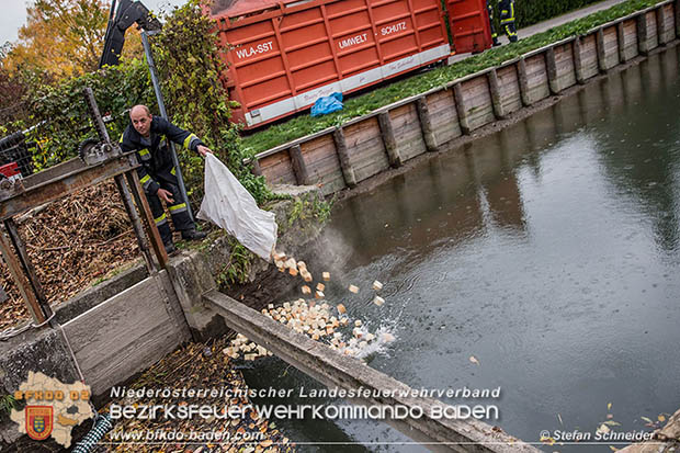 20161102 Ölfilm auf dem Gewässer des Wr.Neustädter Kanals in Kottingbrunn Foto: © Stefan Schneider 20161102 Ölfilm auf dem Gewässer des Wr.Neustädter Kanals in Kottingbrunn Foto: © Stefan Schneider