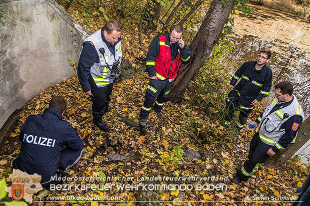 20161102 Ölfilm auf dem Gewässer des Wr.Neustädter Kanals in Kottingbrunn Foto: © Stefan Schneider 20161102 Ölfilm auf dem Gewässer des Wr.Neustädter Kanals in Kottingbrunn Foto: © Stefan Schneider