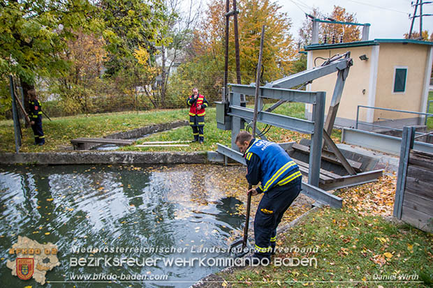20161102 Ölfilm auf dem Gewässer des Wr.Neustädter Kanals in Kottingbrunn Foto: © Daniel Wirth 20161102 Ölfilm auf dem Gewässer des Wr.Neustädter Kanals in Kottingbrunn Foto: © Daniel Wirth