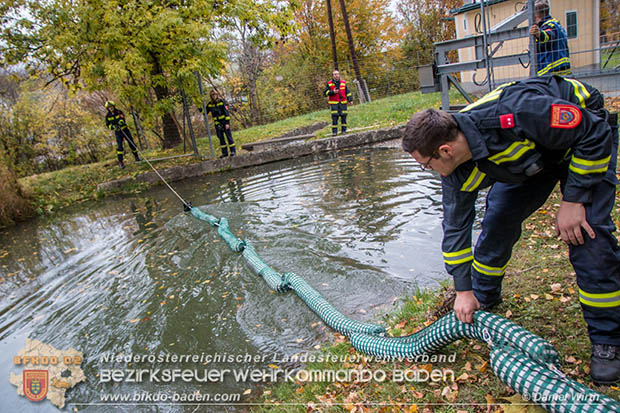 20161102 Ölfilm auf dem Gewässer des Wr.Neustädter Kanals in Kottingbrunn Foto: © Daniel Wirth 20161102 Ölfilm auf dem Gewässer des Wr.Neustädter Kanals in Kottingbrunn Foto: © Daniel Wirth