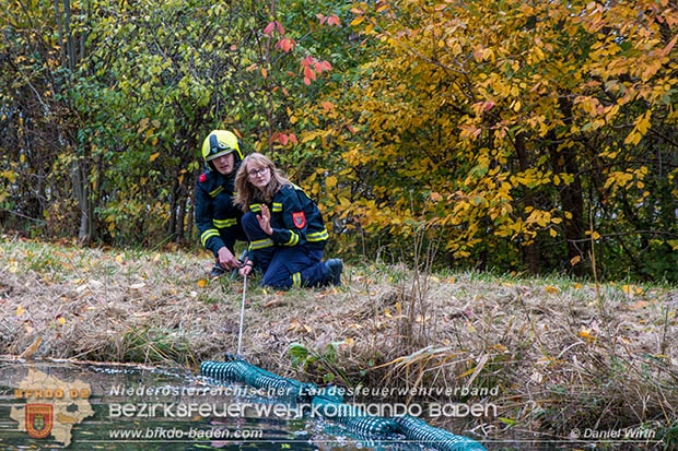 20161102 Ölfilm auf dem Gewässer des Wr.Neustädter Kanals in Kottingbrunn Foto: © Daniel Wirth 20161102 Ölfilm auf dem Gewässer des Wr.Neustädter Kanals in Kottingbrunn Foto: © Daniel Wirth