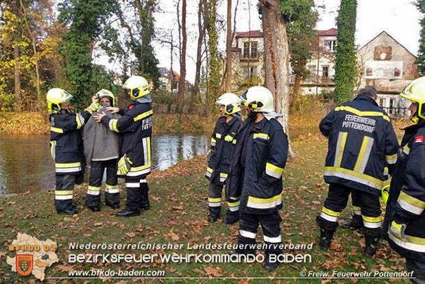 20161120 Feuerwehr rettet verletzte Höckergans aus dem Schlossteich Pottendof Foto: © FF Pottendorf 20161120 Feuerwehr rettet verletzte Höckergans aus dem Schlossteich Pottendof Foto: © FF Pottendorf