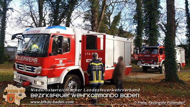 20161120 Feuerwehr rettet verletzte Höckergans aus dem Schlossteich Pottendof Foto: © FF Pottendorf