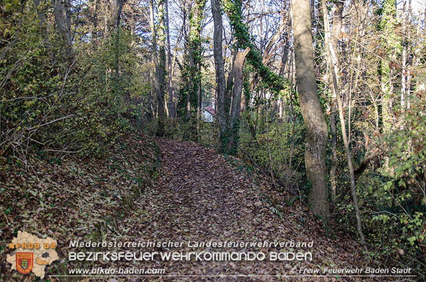 20161121 Pkw Bergung aus dem Waldgebiet Kurpark Baden Bereich Anna Höhe Foto: © FF Baden-Stadt 20161121 Pkw Bergung aus dem Waldgebiet Kurpark Baden Bereich Anna Höhe Foto: © FF Baden-Stadt