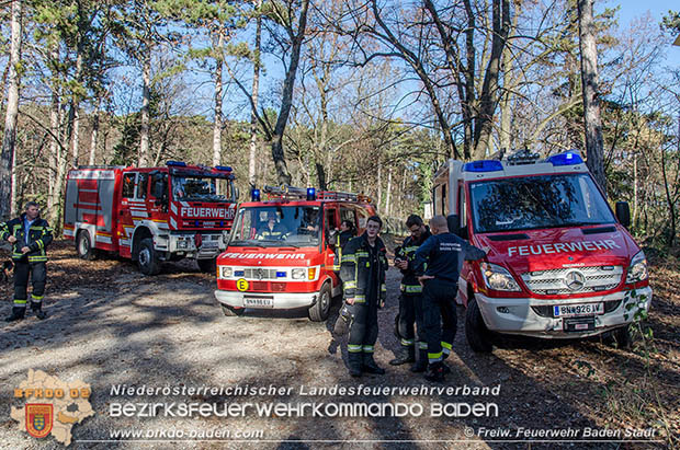 20161121 Pkw Bergung aus dem Waldgebiet Kurpark Baden Bereich Anna Höhe Foto: © FF Baden-Stadt 20161121 Pkw Bergung aus dem Waldgebiet Kurpark Baden Bereich Anna Höhe Foto: © FF Baden-Stadt