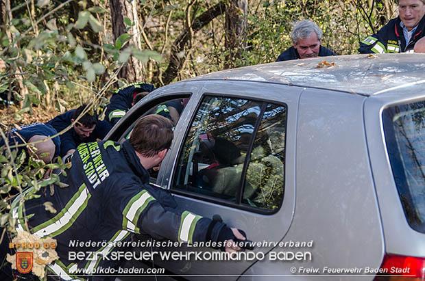 20161121 Pkw Bergung aus dem Waldgebiet Kurpark Baden Bereich Anna Höhe Foto: © FF Baden-Stadt 20161121 Pkw Bergung aus dem Waldgebiet Kurpark Baden Bereich Anna Höhe Foto: © FF Baden-Stadt