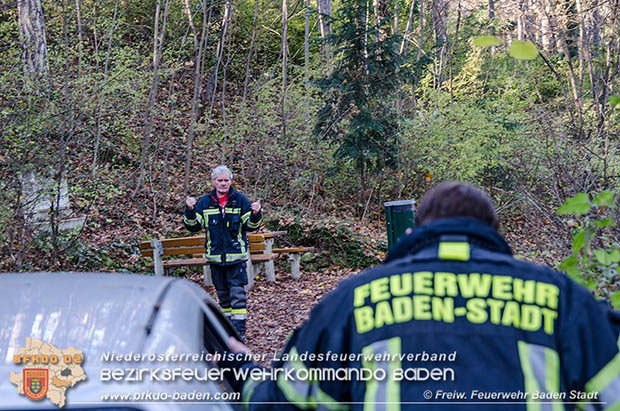 20161121 Pkw Bergung aus dem Waldgebiet Kurpark Baden Bereich Anna Höhe Foto: © FF Baden-Stadt 20161121 Pkw Bergung aus dem Waldgebiet Kurpark Baden Bereich Anna Höhe Foto: © FF Baden-Stadt