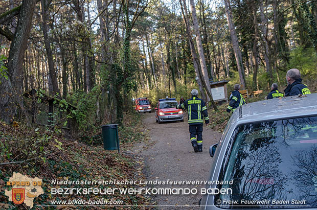 20161121 Pkw Bergung aus dem Waldgebiet Kurpark Baden Bereich Anna Höhe Foto: © FF Baden-Stadt 20161121 Pkw Bergung aus dem Waldgebiet Kurpark Baden Bereich Anna Höhe Foto: © FF Baden-Stadt