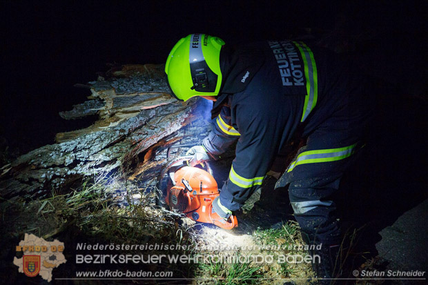 20161202 Sturm Theresa – Foto: Bezirksfeuerwehrkommando Baden 20161202 Sturm Theresa – Foto: Bezirksfeuerwehrkommando Baden
